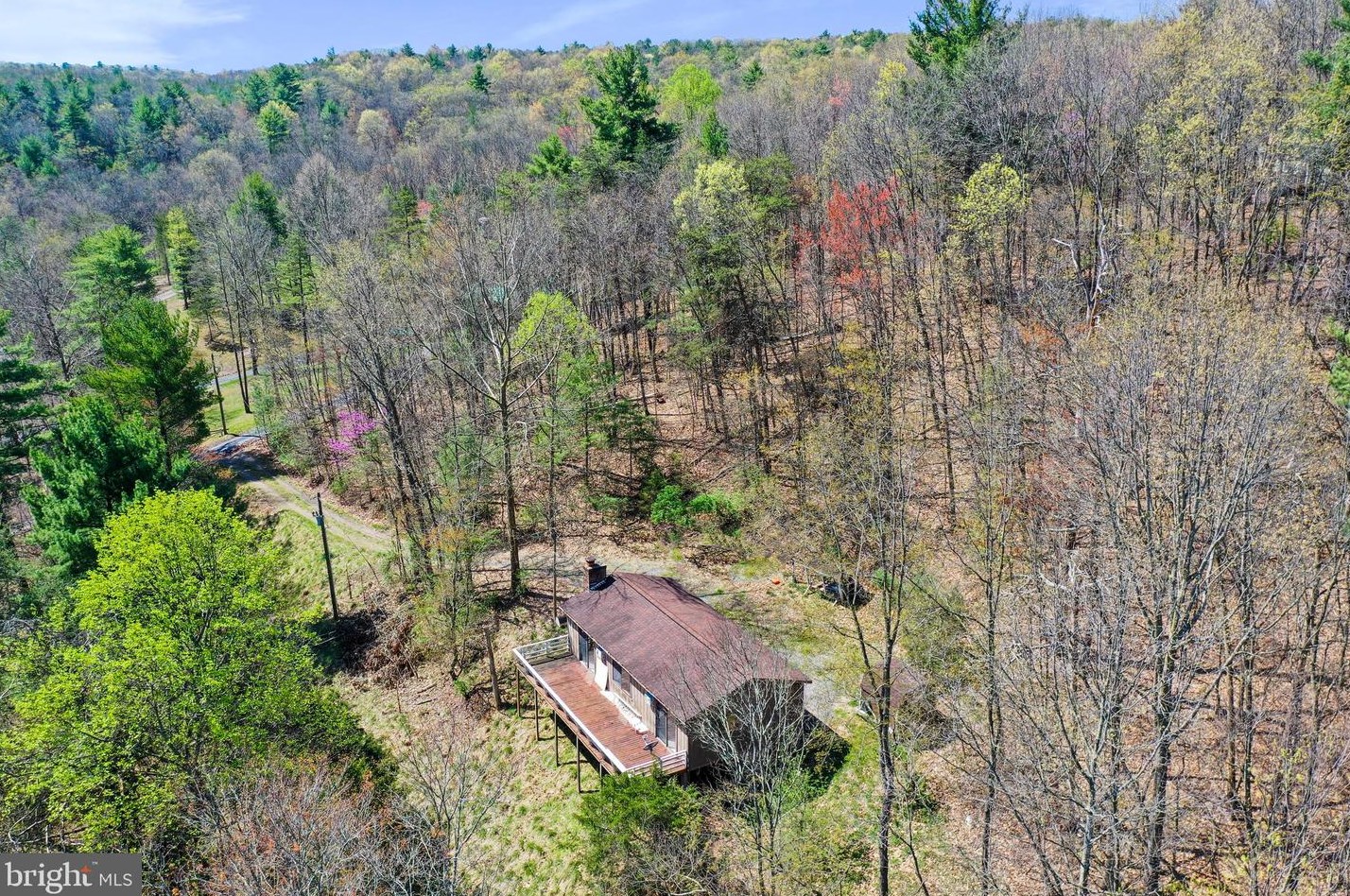 38 Judd Ln, Mount Jackson VA 22842-3470 exterior