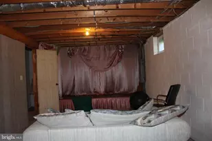 1615 Pleasant View Rd, Mount Jackson, VA 22842 - Photo 90