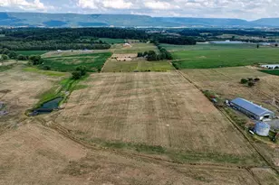 1615 Pleasant View Rd, Mount Jackson, VA 22842 - Photo 118