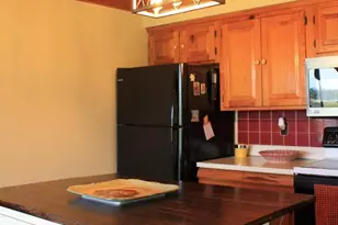 1615 Pleasant View Rd, Mount Jackson, VA 22842 - Photo 30