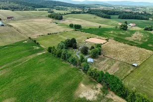 1615 Pleasant View Rd, Mount Jackson, VA 22842 - Photo 112