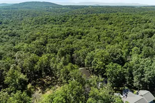 139 Maple Ave, Mount Jackson, VA 22842 - Photo 2