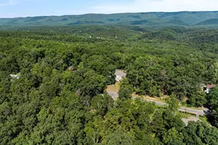 139 Maple Ave, Mount Jackson, VA 22842 - Photo 46