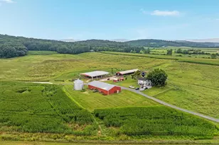 254 Carte Ln, Mount Jackson, VA 22842 - Photo 62