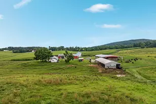 254 Carte Ln, Mount Jackson, VA 22842 - Photo 66