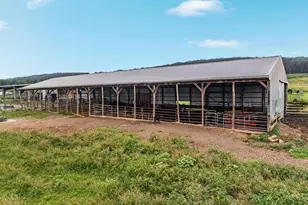 254 Carte Ln, Mount Jackson, VA 22842 - Photo 60