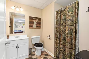 254 Carte Ln, Mount Jackson, VA 22842 - Photo 30