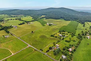 254 Carte Ln, Mount Jackson, VA 22842 - Photo 70