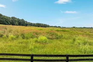 254 Carte Ln, Mount Jackson, VA 22842 - Photo 74