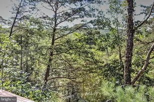 198 Hood's Point Rd, Basye, VA 22810 - Photo 22