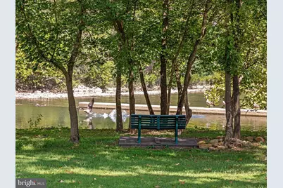 256 Cliffside Drive, Edinburg, VA 22824 - Photo 88