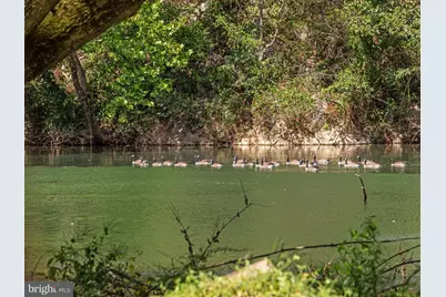 256 Cliffside Drive, Edinburg, VA 22824 - Photo 92