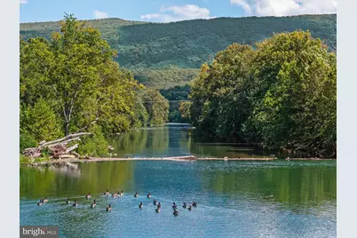 256 Cliffside Drive, Edinburg, VA 22824 - Photo 94