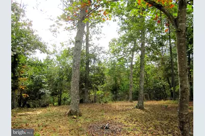 17 Davis Court, Basye, VA 22810 - Photo 18