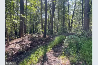 Lot 17 Lake Dr, New Market, VA 22844 - Photo 6