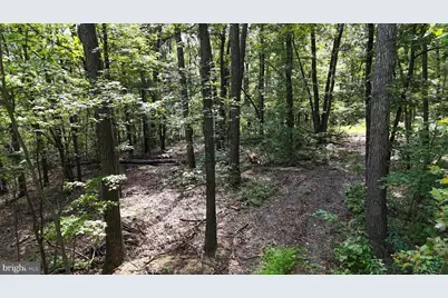 Lot 17 Lake Dr, New Market, VA 22844 - Photo 4