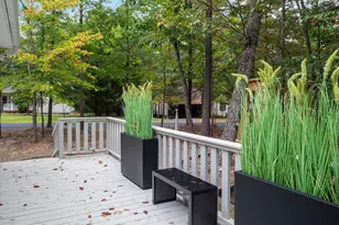 268 Dogwood Dr, Mount Jackson, VA 22842 - Photo 96