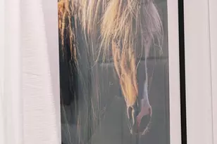 268 Dogwood Dr, Mount Jackson, VA 22842 - Photo 84