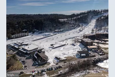 268 Dogwood Drive, Mount Jackson, VA 22842 - Photo 130