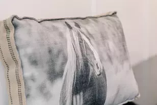 268 Dogwood Dr, Mount Jackson, VA 22842 - Photo 4