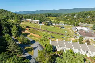 125 Fritzel, Basye, VA 22810 - Photo 10