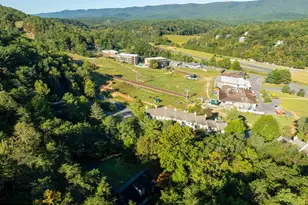 125 Fritzel, Basye, VA 22810 - Photo 8