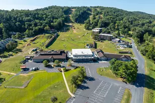 125 Fritzel, Basye, VA 22810 - Photo 68