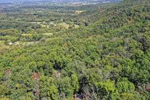 570 Cedar Rd, Strasburg, VA 22657 - Photo 38