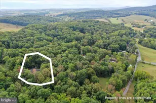 2726 Cave Ridge Rd, Mount Jackson, VA 22842 - Photo 38