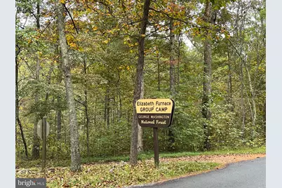 100 Wolfs Lane, Fort Valley, VA 22652 - Photo 28