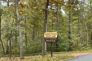 100 Wolfs Ln, Fort Valley, VA 22652 - Photo 28