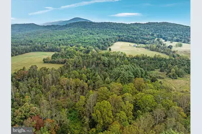 0 Dellinger Gap Rd, Edinburg, VA 22824 - Photo 14