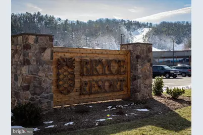 452 Spitz, Basye, VA 22810 - Photo 40