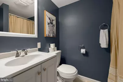 203 Beech Road, Mount Jackson, VA 22842 - Photo 28