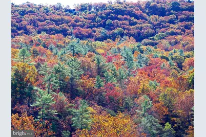 426 The Hill Rd Road #L-30, Basye, VA 22810 - Photo 6