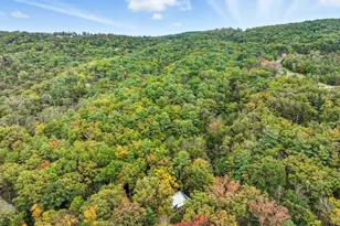 16 Spruce Hollow Rd, Basye, VA 22810 - Photo 40