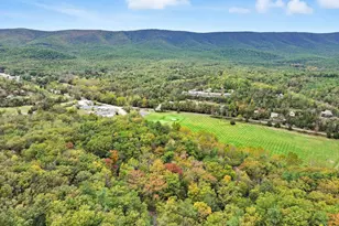 16 Spruce Hollow Rd, Basye, VA 22810 - Photo 42