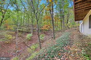 16 Spruce Hollow Rd, Basye, VA 22810 - Photo 50