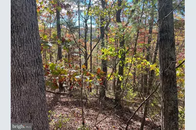 0 Brenda Lane, Basye, VA 22810 - Photo 2