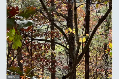 0 Brenda Lane, Basye, VA 22810 - Photo 1