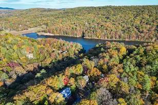 547 King St, Basye, VA 22810 - Photo 48