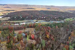 459 N Aspen Way, Basye, VA 22810 - Photo 54