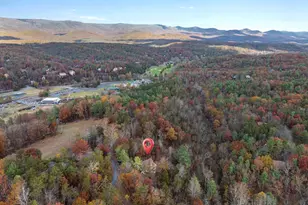 459 N Aspen Way, Basye, VA 22810 - Photo 56