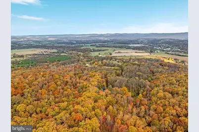 875 Hunter Lane, Edinburg, VA 22824 - Photo 46