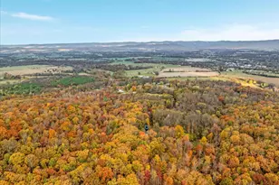 875 Hunter Ln, Edinburg, VA 22824 - Photo 46