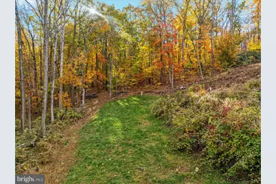 875 Hunter Lane, Edinburg, VA 22824 - Photo 60