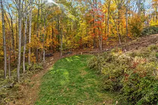 875 Hunter Ln, Edinburg, VA 22824 - Photo 60