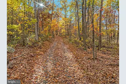 875 Hunter Lane, Edinburg, VA 22824 - Photo 58