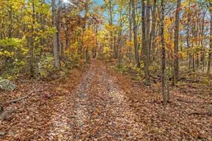 875 Hunter Ln, Edinburg, VA 22824 - Photo 58