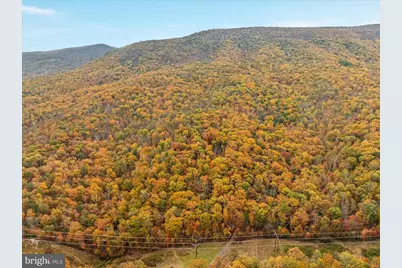 875 Hunter Lane, Edinburg, VA 22824 - Photo 56